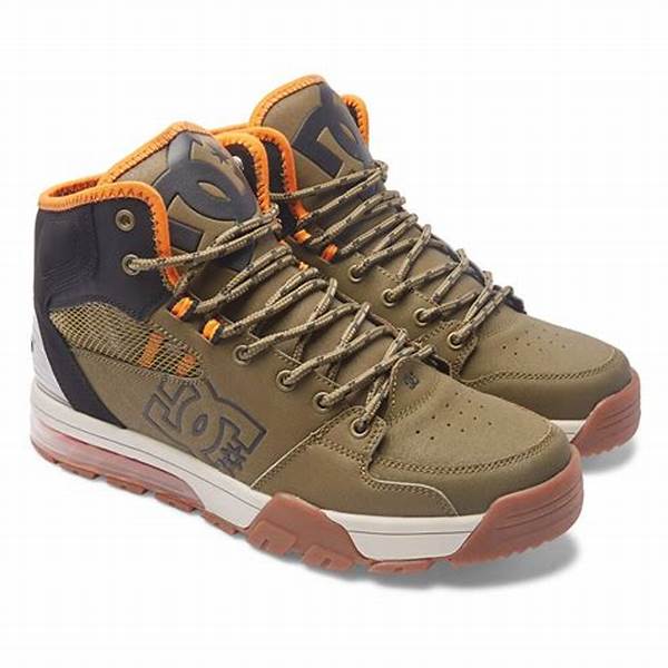Versatile Boots For Diverse Conditions