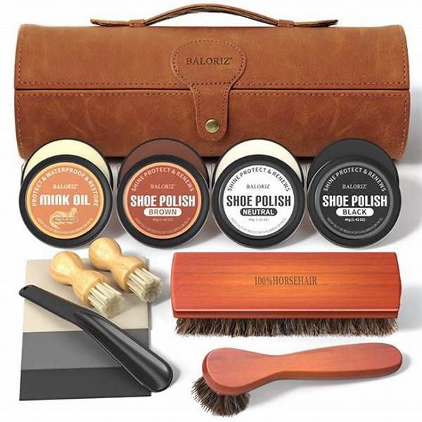 “choosing Leather Shoe Care Products”